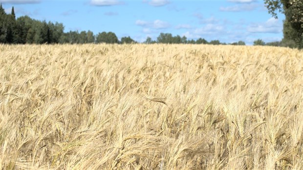 Lancement du réseau de producteurs bio-conventionnel 