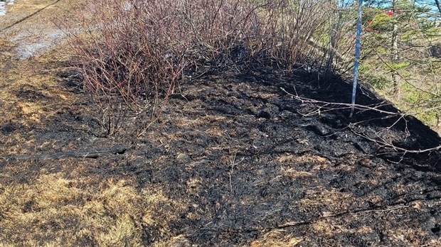 Des conditions météorologiques idéales pour un feu de forêt