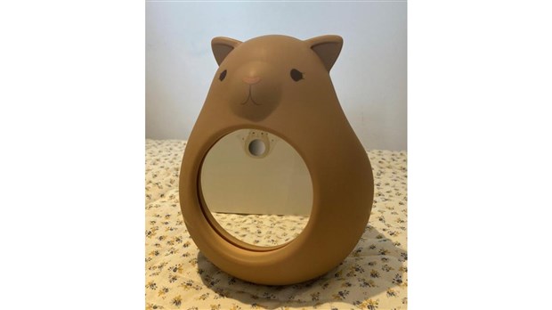  Ourson en silicone avec miroir rappelé en raison d’un risque de lacération