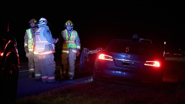 Collision avec un chevreuil à Saint-André-de-Kamouraska