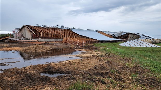 Un rayon de soleil dans la tempête