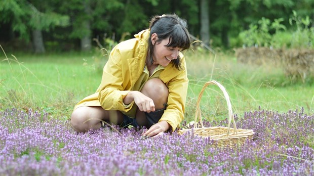 S’inspirer de la nature pour créer