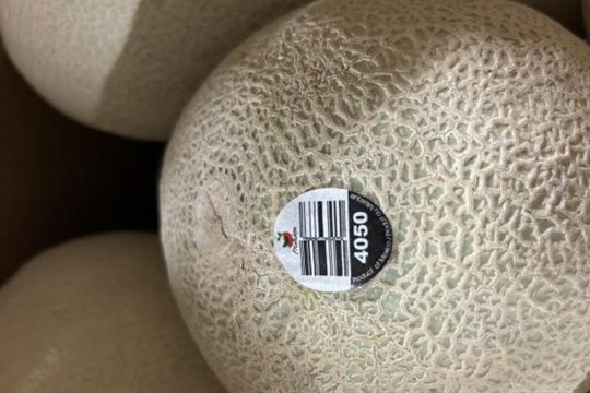 Rappel de cantaloups de marque Malichita