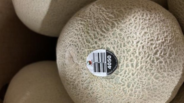 Rappel de cantaloups de marque Malichita