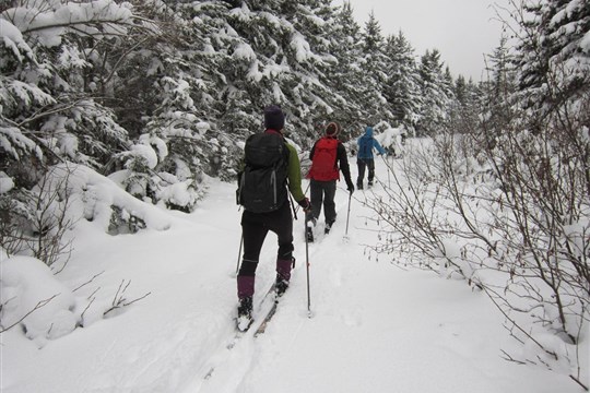 Première présentation du Festival plein air du Bas-Saint-Laurent en hiver