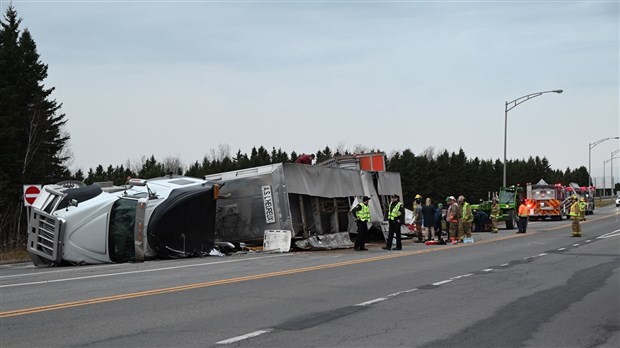 Une cargaison de porcs se renverse à Saint-Alexandre-de-Kamouraska