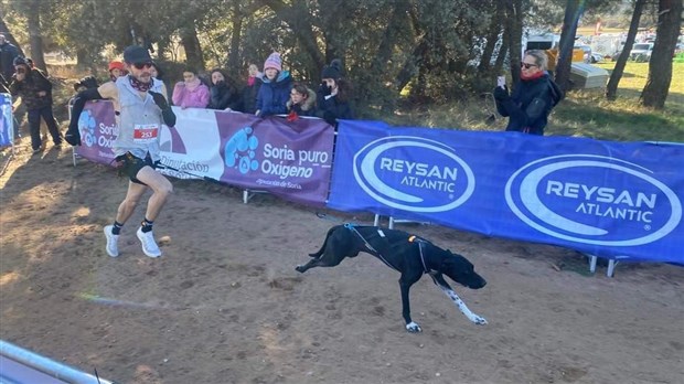 Un Louperivois brille aux championnats du monde de canicross 