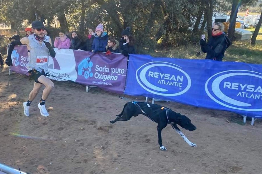 Un Louperivois brille aux championnats du monde de canicross 