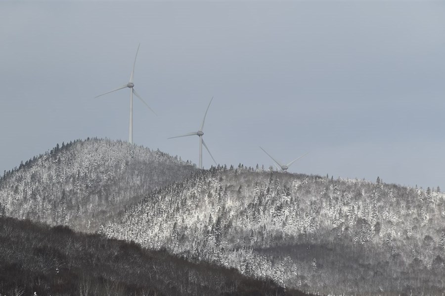 Évaluation environnementale du projet de parc éolien Pohénégamook - Picard - Saint-Antonin – Wolastokuk 2