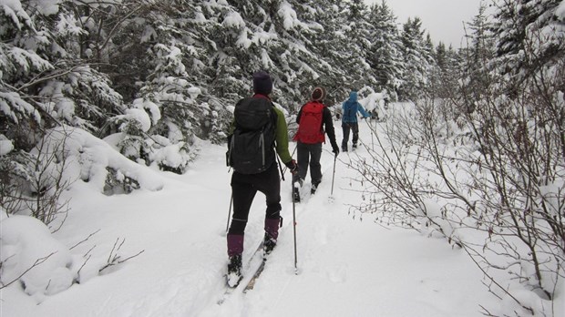 Programme hivernal du Groupe plein air RDL