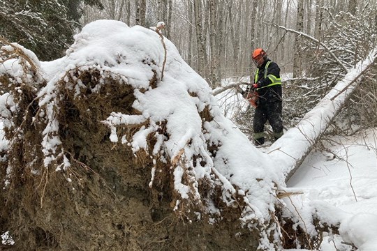 Tempête du 23 décembre: 21 municipalités du Bas-Saint-Laurent seront indemnisées