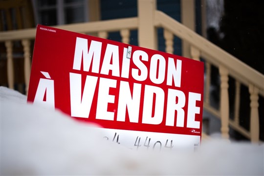 Un conflit règne entre une inspectrice et deux courtiers immobiliers