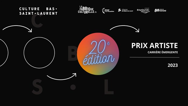 Le Prix à la relève artistique devient le Prix artiste - carrière émergente