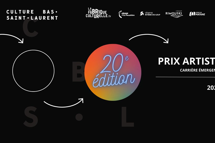 Le Prix à la relève artistique devient le Prix artiste - carrière émergente