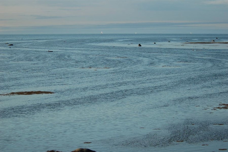 Le Comité ZIP du Sud-de-l’Estuaire soutient et appuie les démarches 