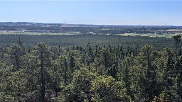 Cacouna: une portion de la tourbière Bois-des-Bel protégée à perpétuité