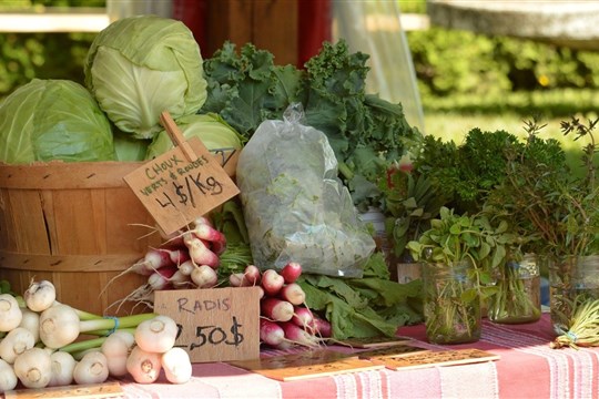 Lancement d’un parcours annuel du Défi je mange local au Bas-Saint-Laurent