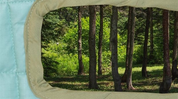 Bleu tendre présenté du 18 au 20 aout