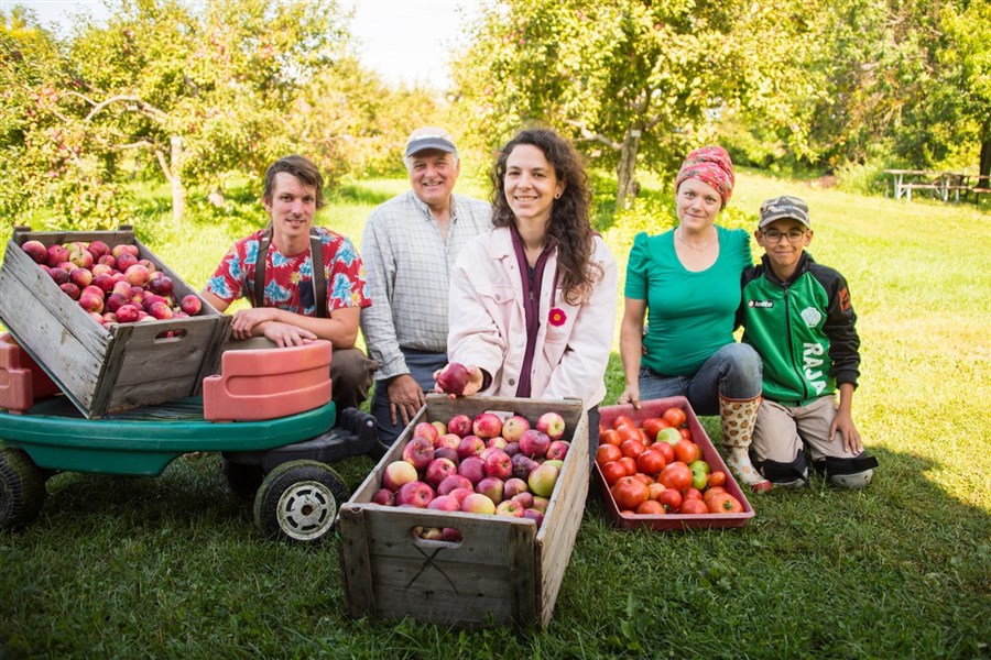 Des pommes et des légumes au service de l’inclusion sociale 
