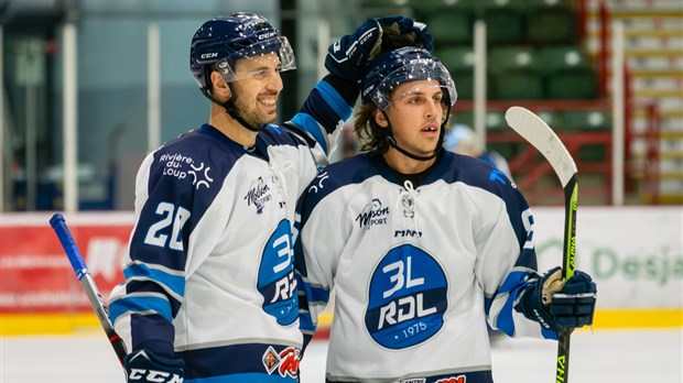 Des honneurs pour Michael Ward dans la LNAH 