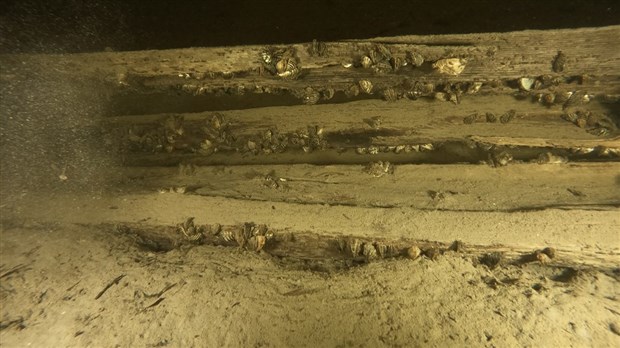 L’ombre de la moule zébrée plane sur huit lacs de la région 