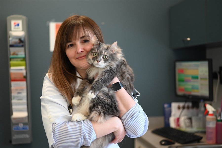 Interdiction de dégriffer les chats au Québec : «C’est une bonne nouvelle que tout le monde partage» -Heidi Pomerleau