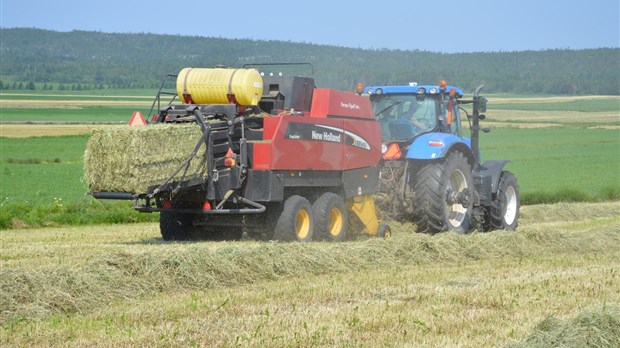 21,2 M$ supplémentaires versés aux productrices et aux producteurs de foin et de pâturages