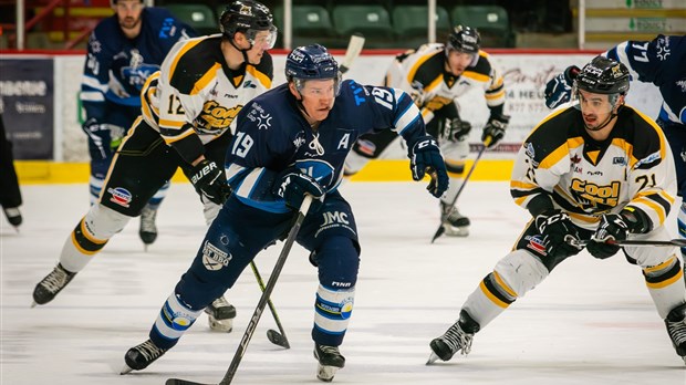 La LNAH accueillera une nouvelle équipe à Saint-Hyacinthe 