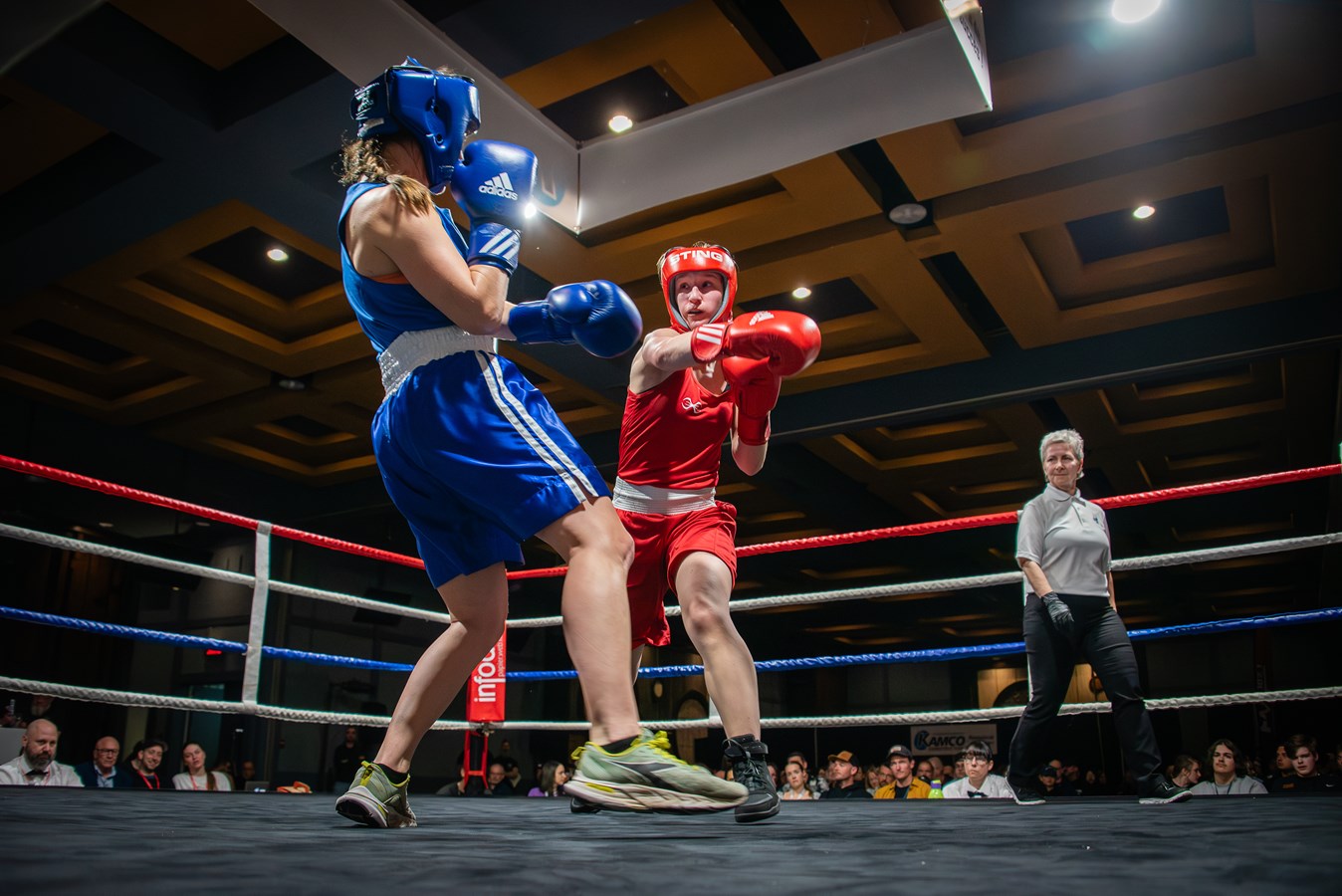 La boxe régionale à l’honneur à Rivière-du-Loup 