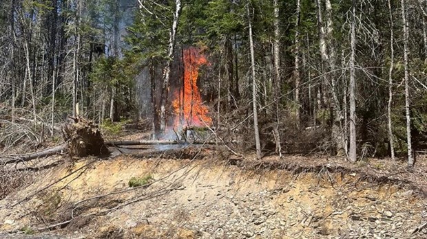 Feu de forêt à Dégelis