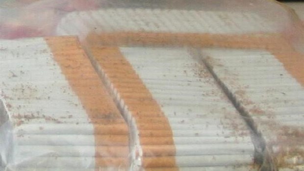 Tabac de contrebande : près de 500 000 $ d’amendes 