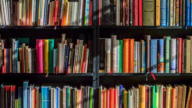Activités de la bibliothèque Anne-Marie-D’Amours de Trois-Pistoles