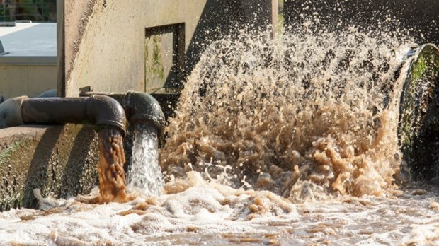 Eaux usées: les bons gestes pour éviter les dégats 