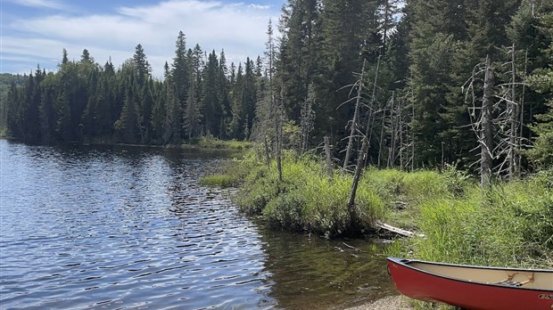 Un nouveau projet voit le jour pour l’amélioration de la qualité de l’eau des lacs de villégiature