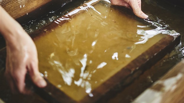 Un atelier de fabrication de papier par l'Association forestière bas-laurentienne 