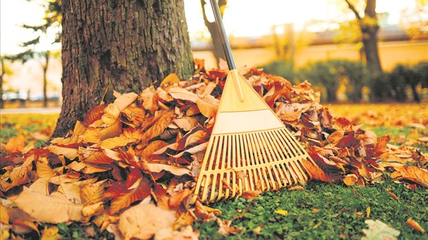 Automne, compostage et jardinage, c’est simple !