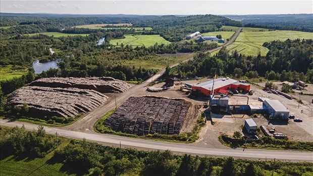 La scierie de Saint-Joseph-de-Kamouraska suspendra ses activités en avril 