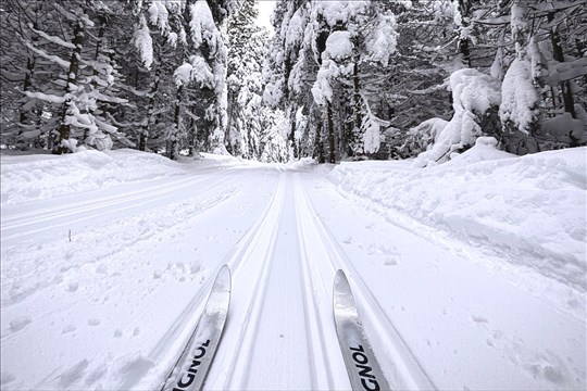 Fin de la saison des sports hivernaux au Bas-Saint-Laurent