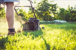 Les 5 bonnes raisons (et 5 trucs) d’être paresseux avec sa pelouse