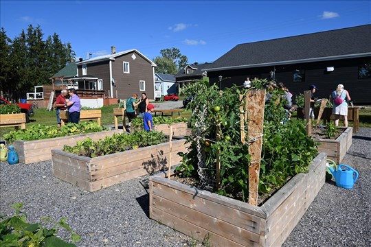 Semer, cultiver et récolter la santé à la coop de Saint-Hubert-de-Rivière-du-Loup
