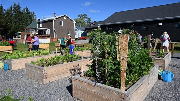 Semer, cultiver et récolter la santé à la coop de Saint-Hubert-de-Rivière-du-Loup