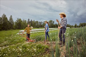 Des semences pour un jardin 100 % québécois 