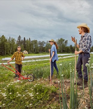 Des semences pour un jardin 100 % québécois 