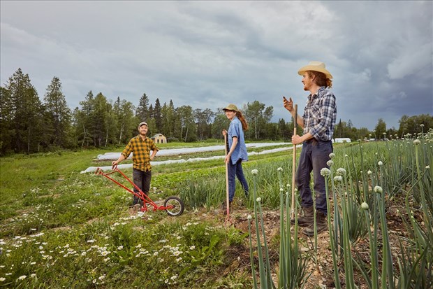Des semences pour un jardin 100 % québécois 