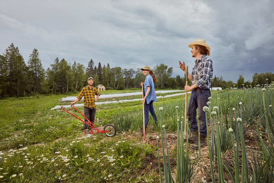 Des semences pour un jardin 100 % québécois 