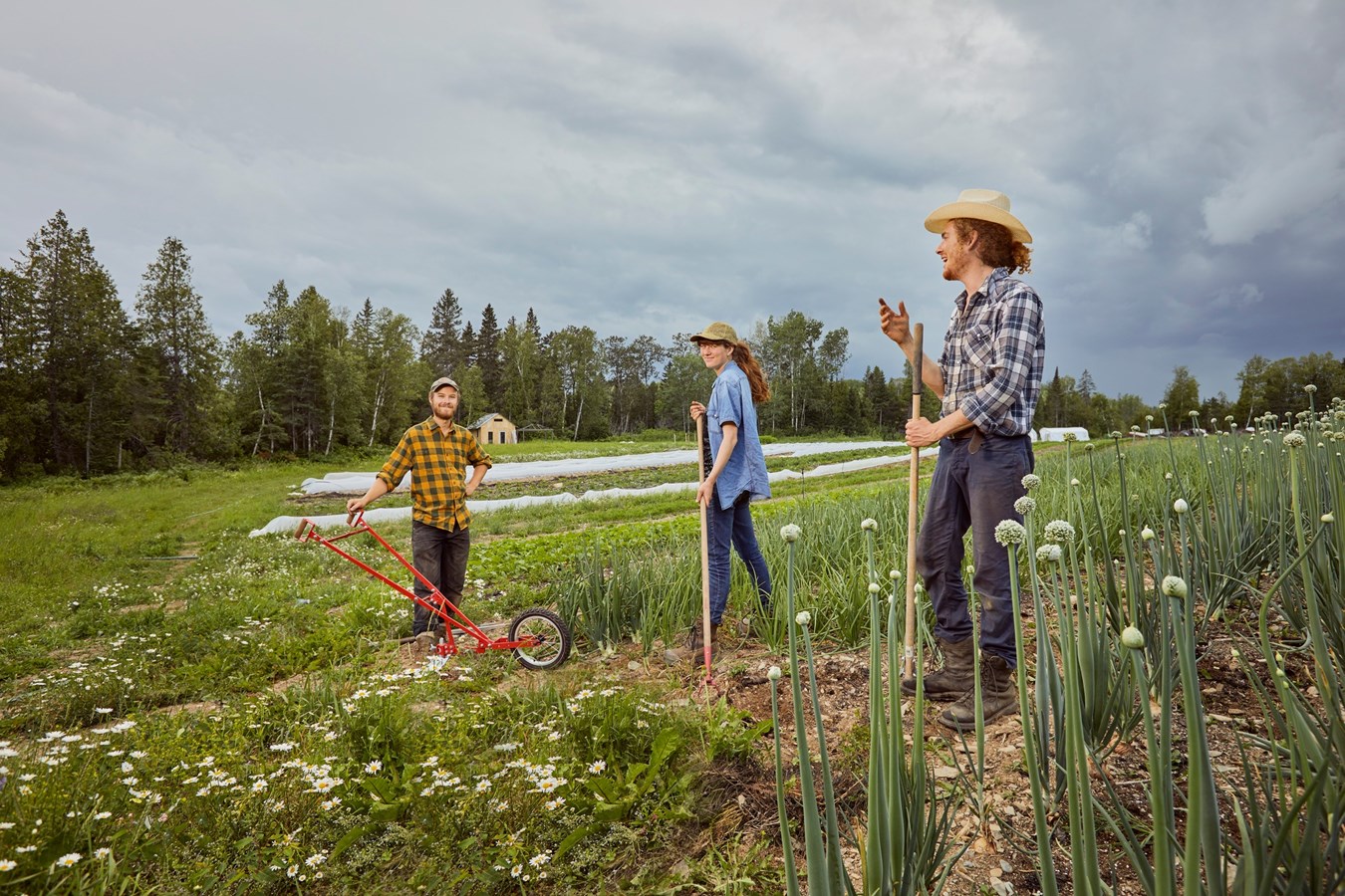 Des semences pour un jardin 100 % québécois 