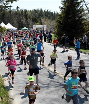 Le Tour de la Pointe Prelco : toujours aussi accessible 