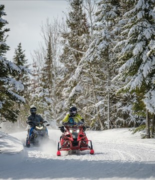 Tourisme hivernal 2025 : succès au Bas-Saint-Laurent 