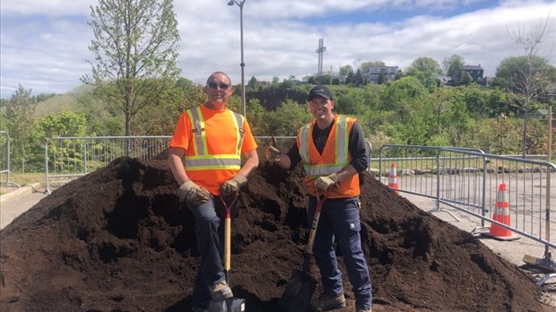 Distribution de compost et de plants d’arbres au carré Dubé
