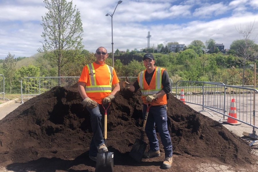 Distribution de compost et de plants d’arbres au carré Dubé